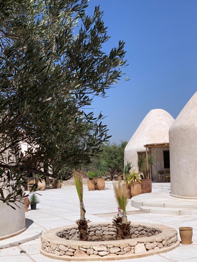 Les Jardins De Villa Maroc Essaouira Luaran gambar